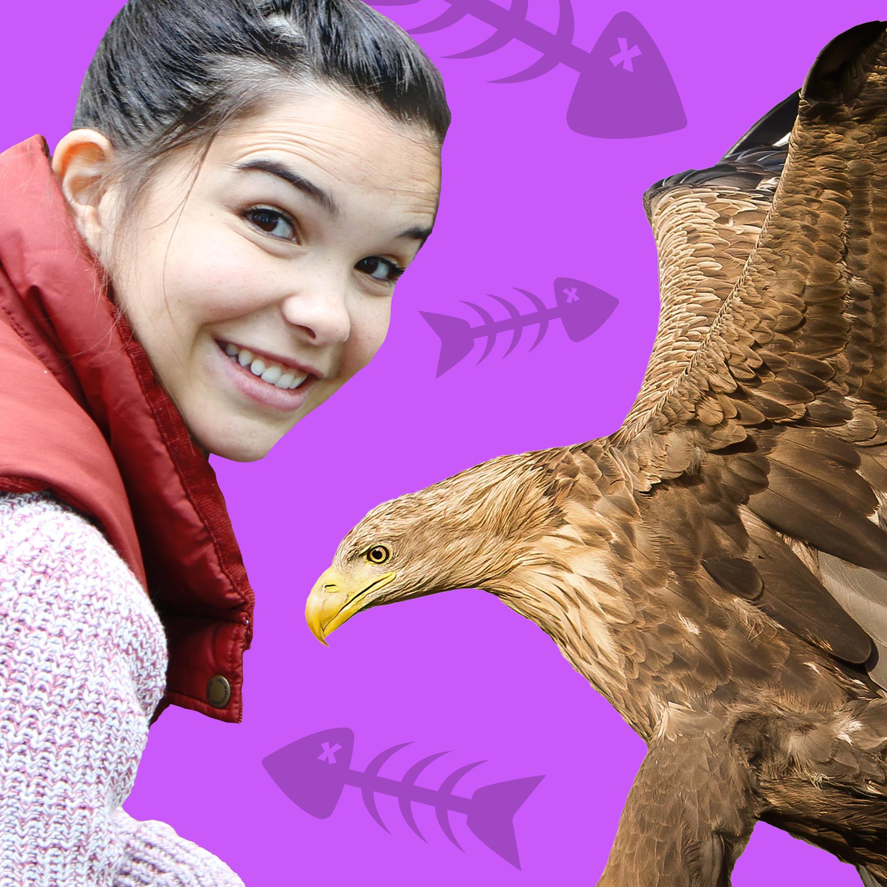 Seeadler – Beeindruckende Herrscher der Lüfte
