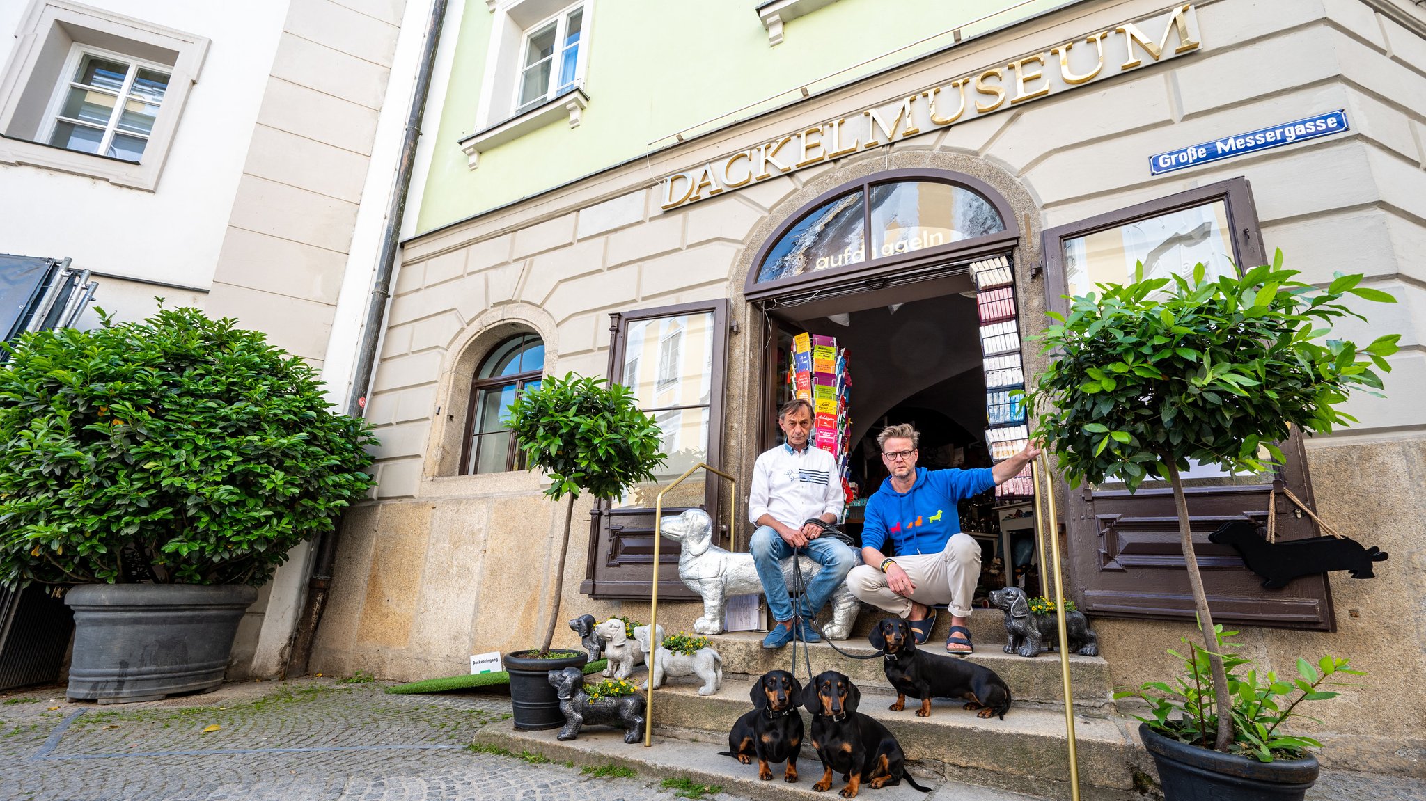 Nach Streit: Passauer Dackelmuseum will nach Regensburg ziehen