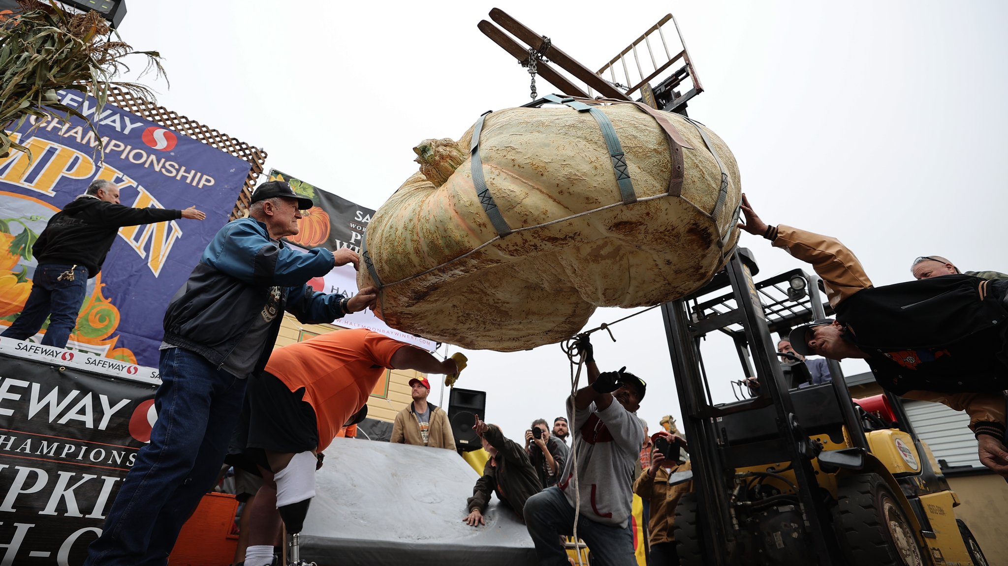 49. Ausgabe der World Championship Pumpkin Weigh-Off