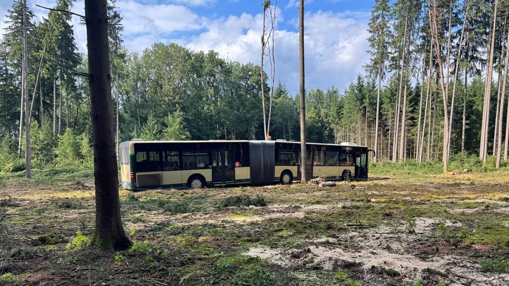 Busfahrer folgt Navi und bleibt im Wald stecken