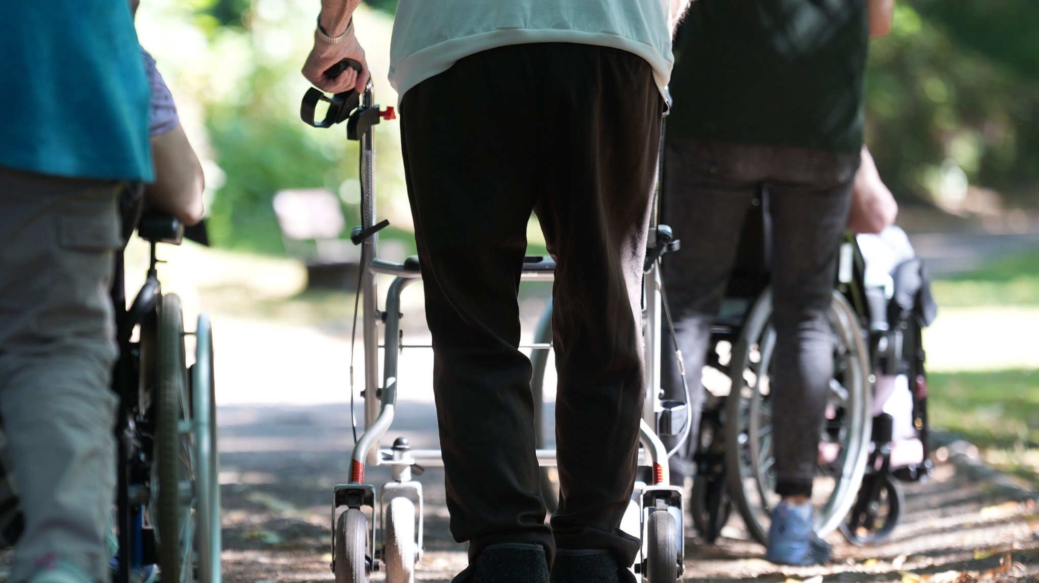 (Symbolbild) Bewohnerinnen und Bewohner einer Pflegeeinrichtung gehen mit Rollatoren durch einen Park. | Bild: dpa-Bildfunk/Marcus Brandt (Symbolbild) Bewohnerinnen und Bewohner einer Pflegeeinrichtung gehen mit Rollatoren durch einen Park.