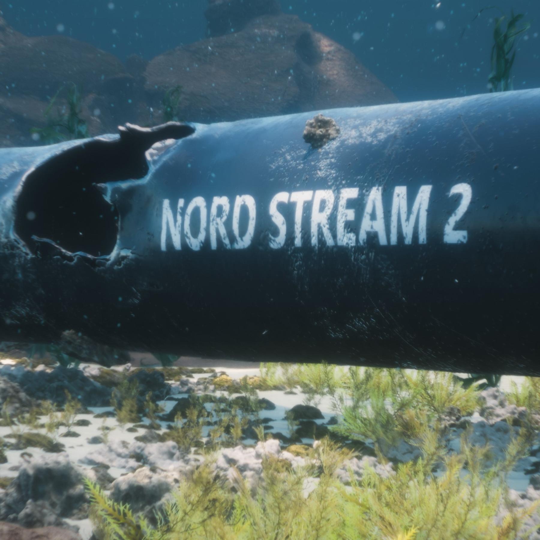 Nach Nord Stream-Anschlag: Verdächtiger nach Deutschland überstellt