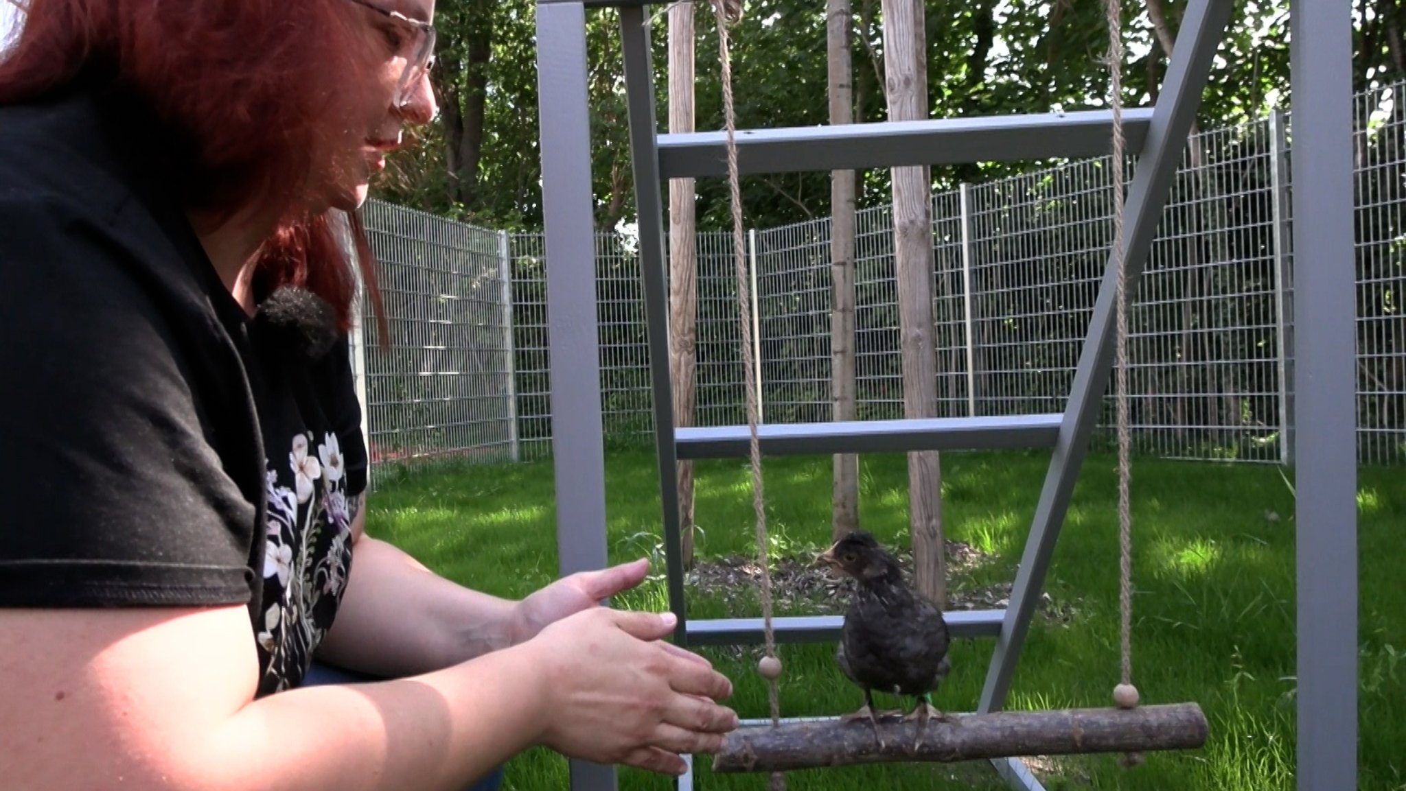 Hühnerbetreuerin Verena von Janotta mit einem schwarzen Huhn auf einer Hühnerschaukel