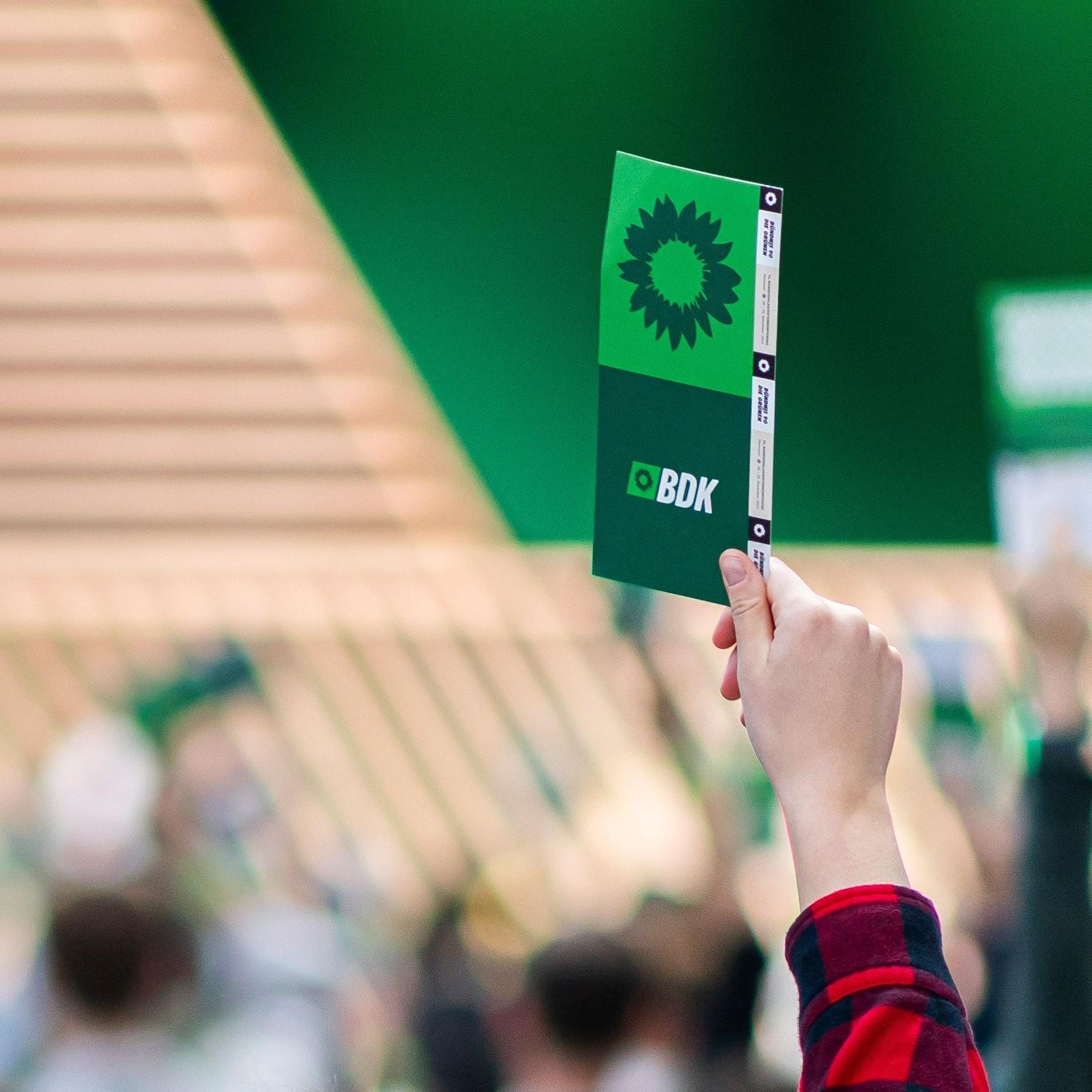 Grüne stimmen für Palästina und verpflichtende Musterung