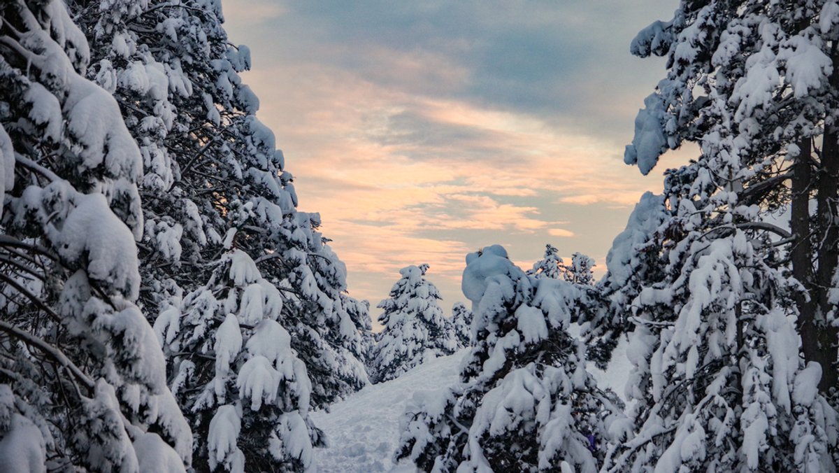 Dezember in Bayern: War früher wirklich mehr Schnee?