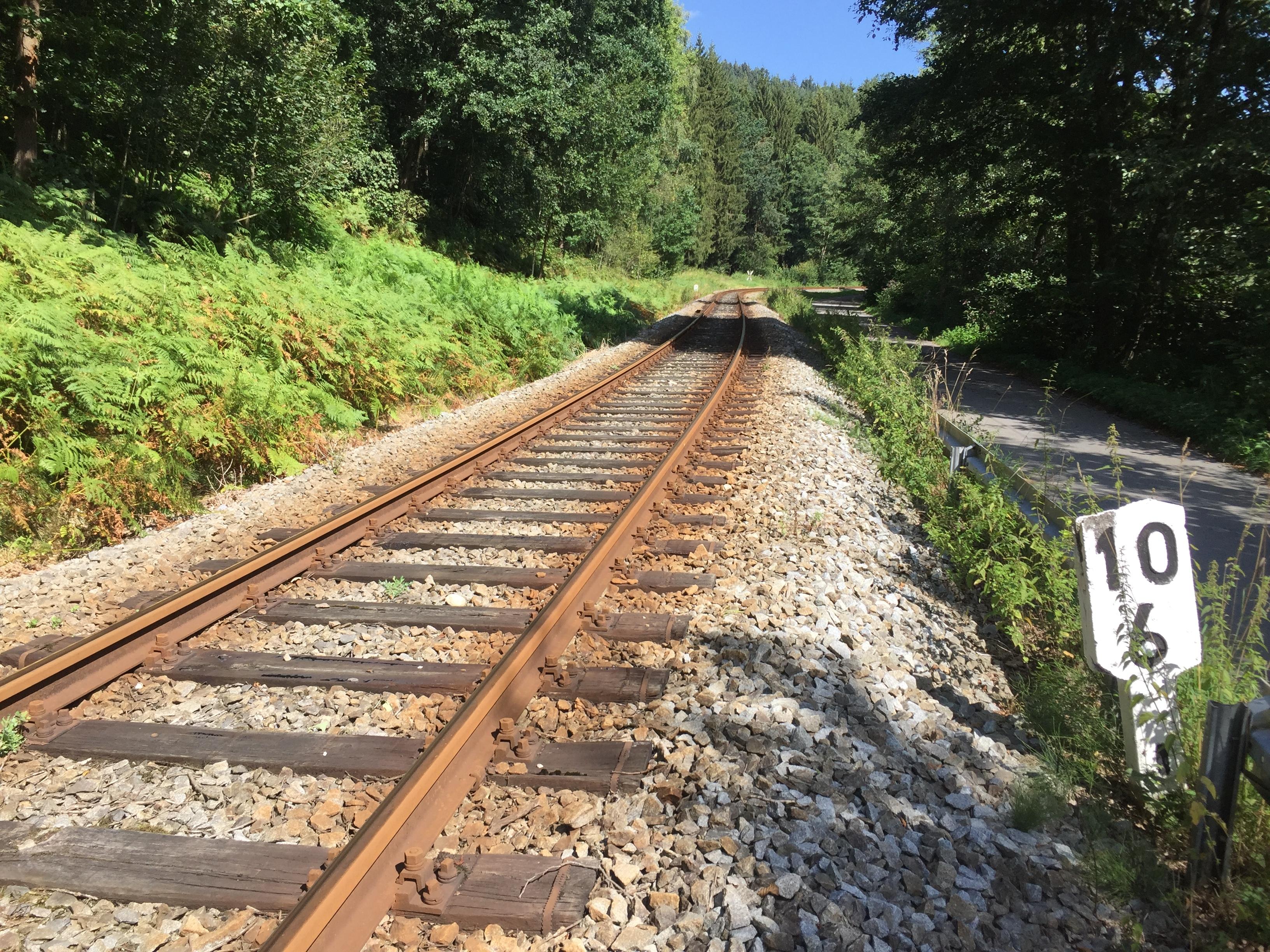 Gleise der Waldbahn im Bayerischen Wald. 