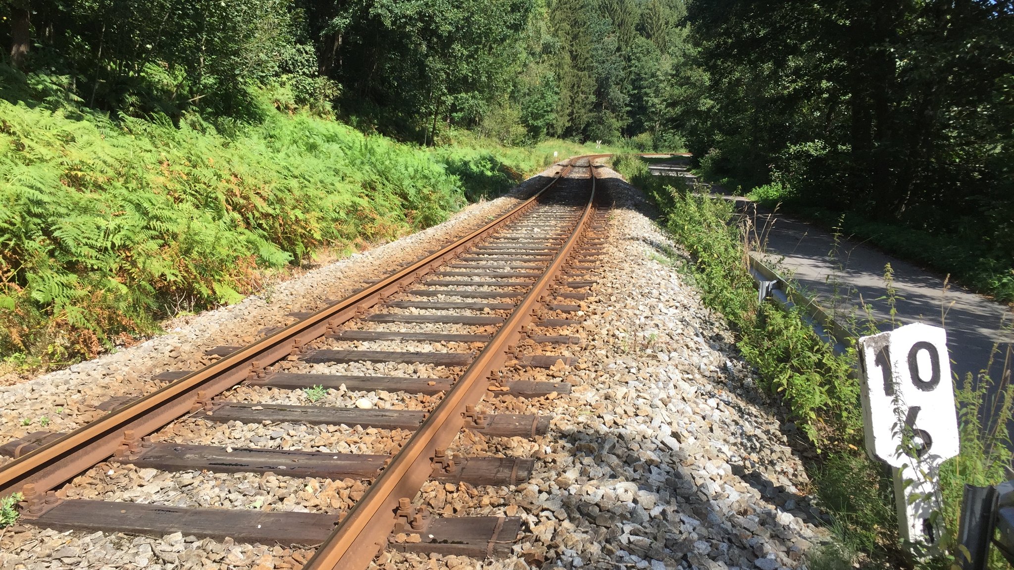 Gleise der Waldbahn im Bayerischen Wald. 