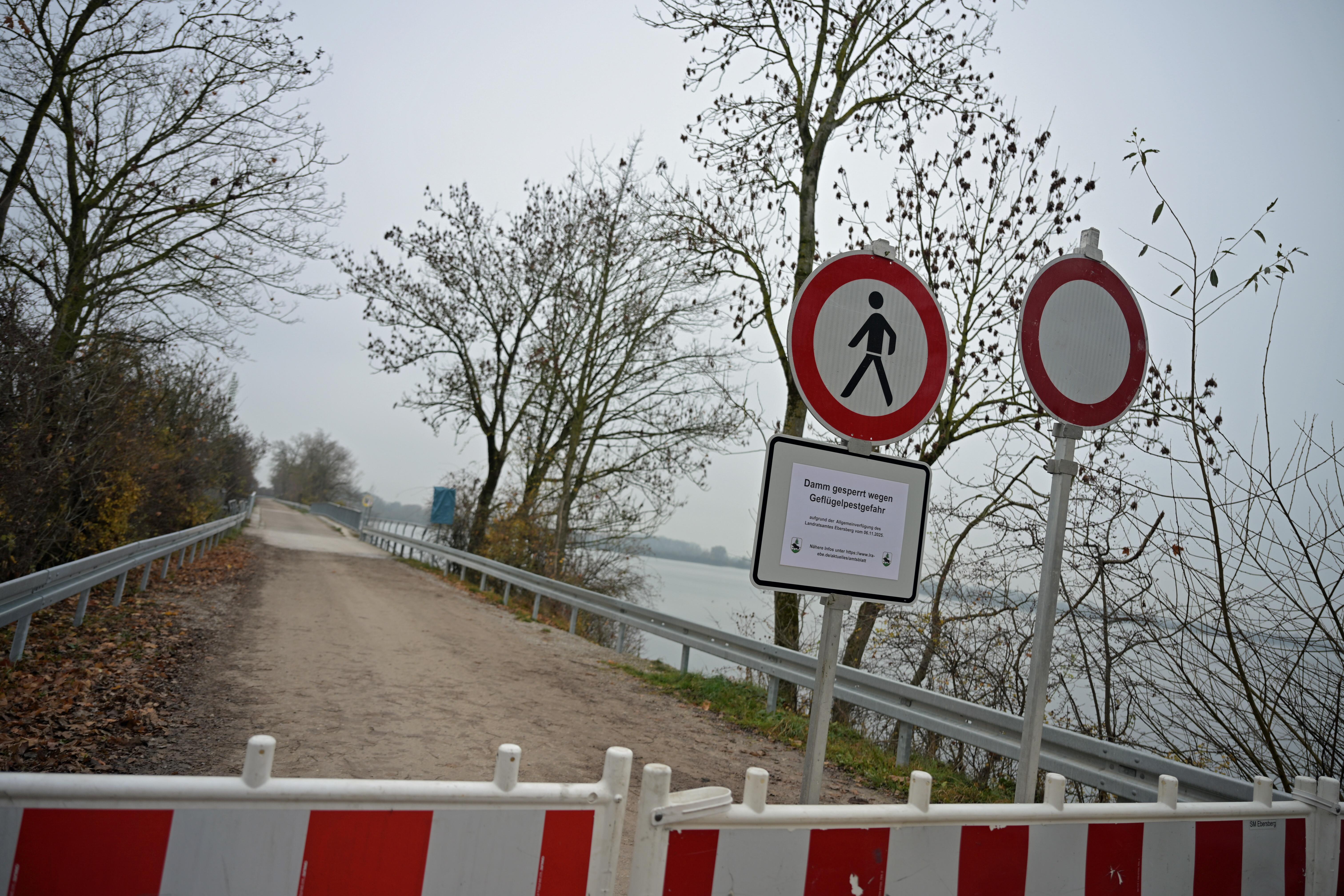 Vogelgrippe-Alarm am Ismaninger Speichersee: Spaziergänger sollen dem Gewässer vorübergehend fernbleiben.