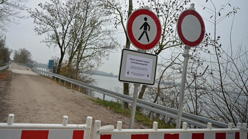 Vogelgrippe-Alarm am Ismaninger Speichersee: Spaziergänger sollen dem Gewässer vorübergehend fernbleiben. | Bild: picture alliance/dpa | Malin Wunderlich Vogelgrippe-Alarm am Ismaninger Speichersee: Spaziergänger sollen dem Gewässer vorübergehend fernbleiben.