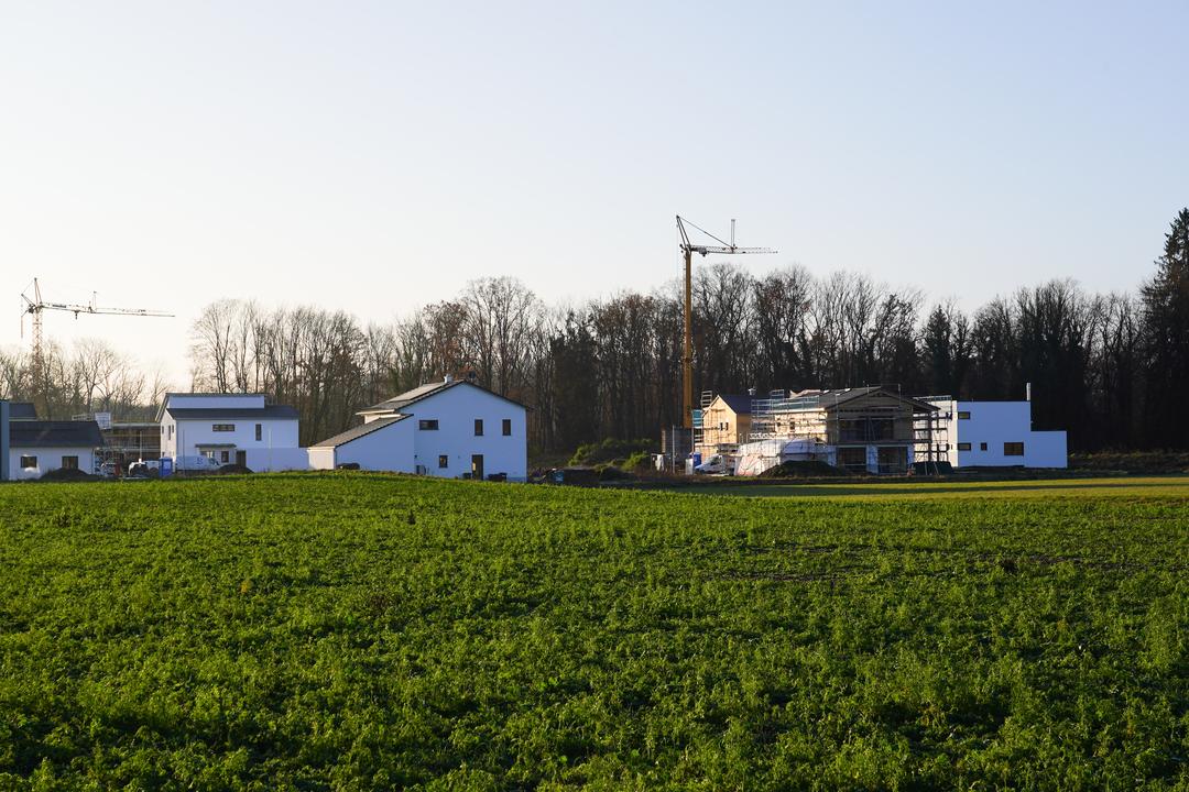 Auf einer freien Fläche werden Wohngebäude errichtet.