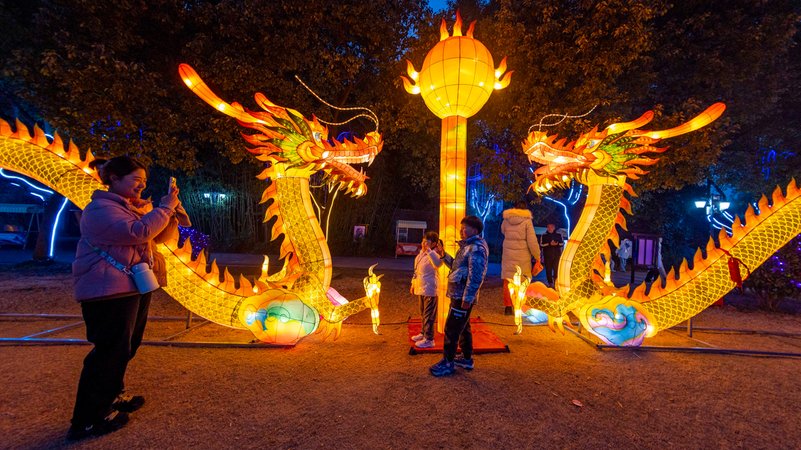 Passanten fotografieren sich vor illuminierten Drachen-Figuren