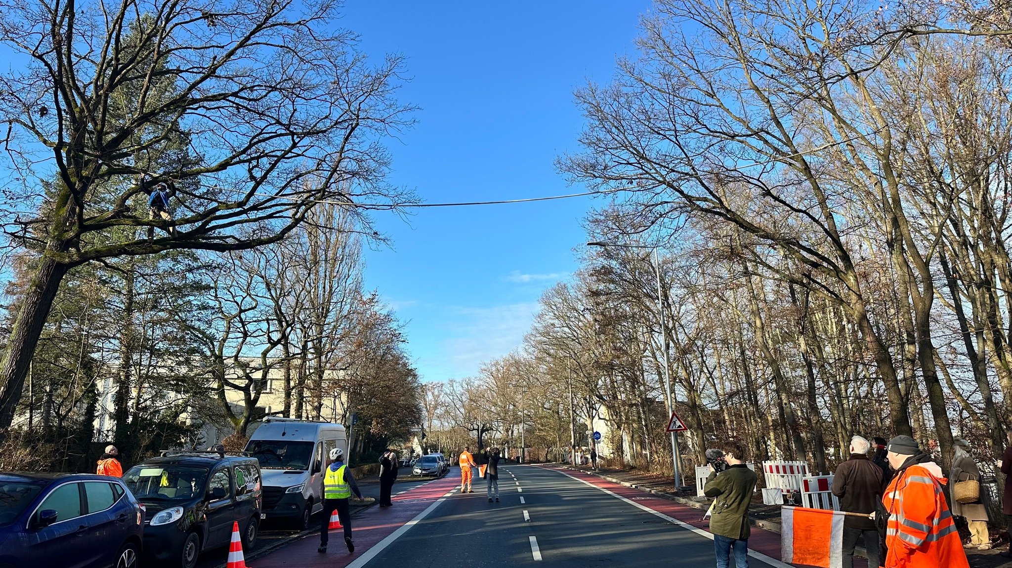 Seil über der Eichendorffstraße in Nürnberg: Eichhörnchenbrücke wird installiert. | Bild: Martina Gehret Seil über der Eichendorffstraße in Nürnberg: Eichhörnchenbrücke wird installiert.