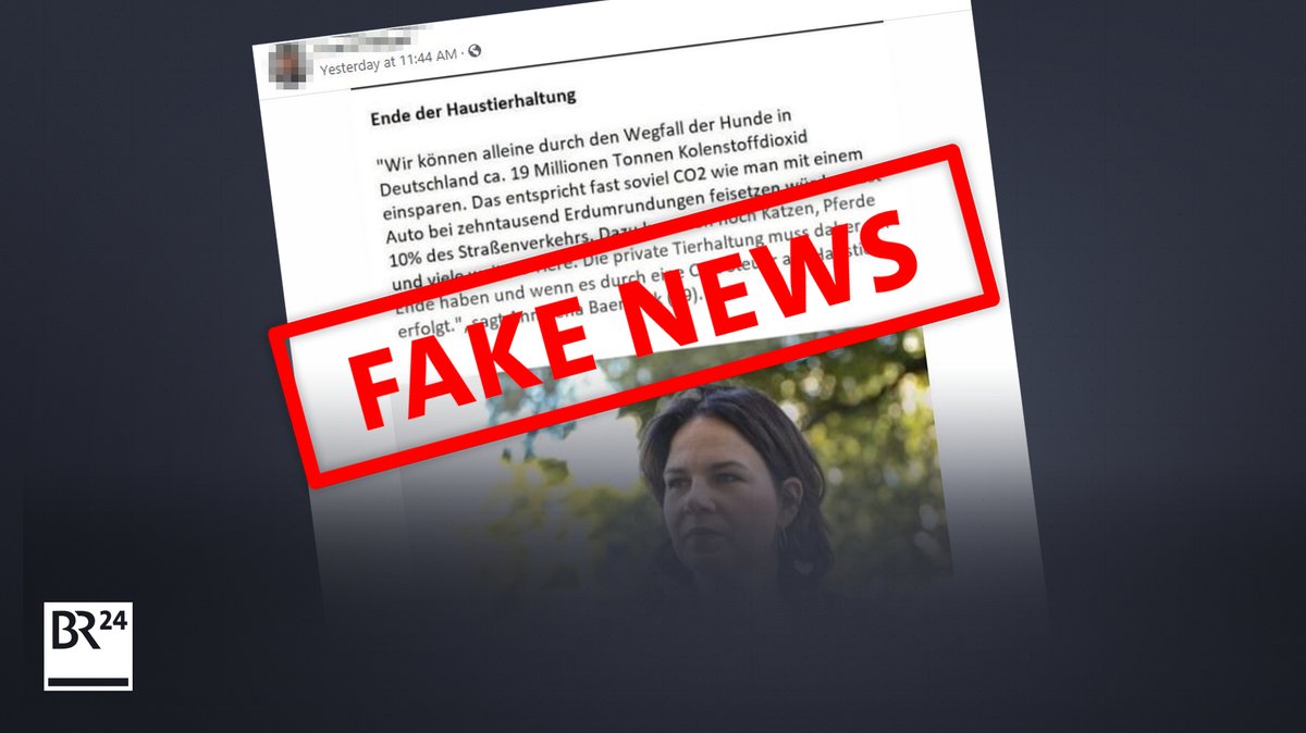 Fake News: Es gibt keine Hinweise, dass Annalena Baerbock diese Aussage getroffen hat.