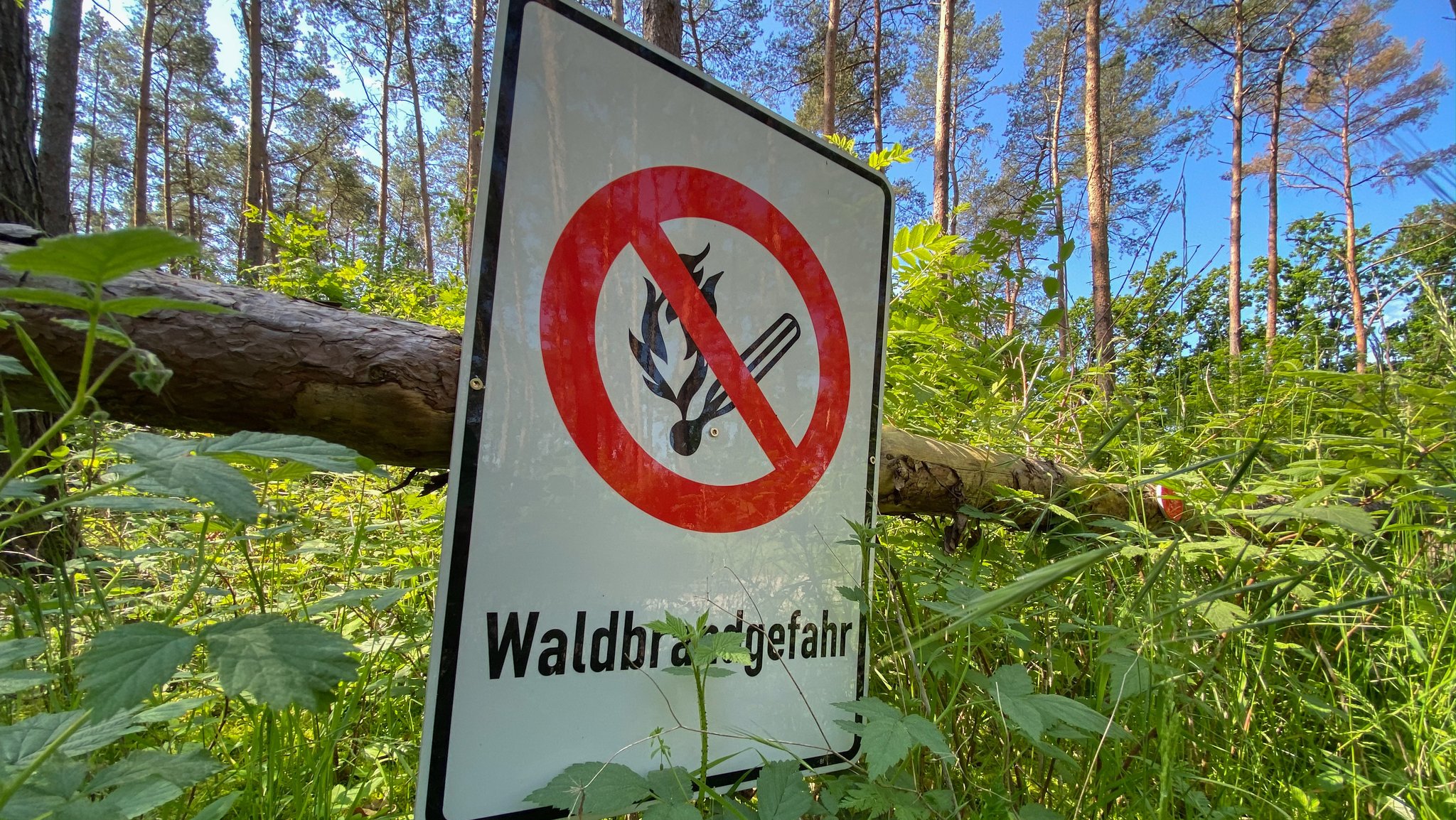 Warnschild "Waldbrandgefahr"