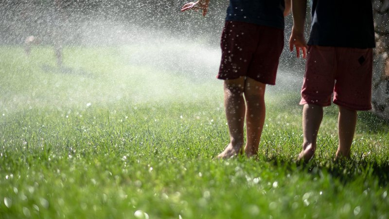 Symbolbild: Rasensprenger im Garten | Bild: picture alliance / Zoonar | pixel66 Symbolbild: Rasensprenger im Garten