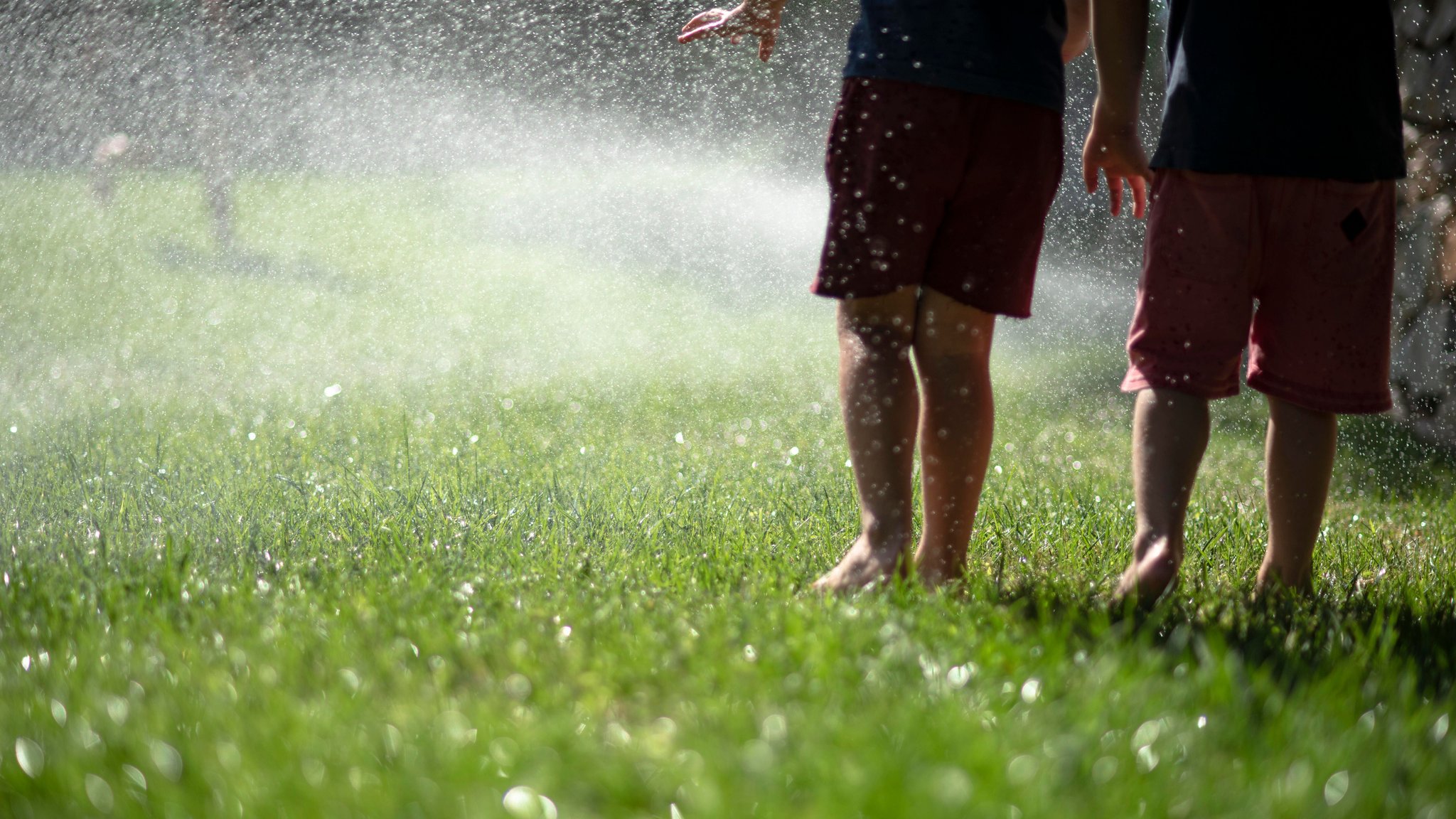 Symbolbild: Rasensprenger im Garten | Bild: picture alliance / Zoonar | pixel66 Symbolbild: Rasensprenger im Garten