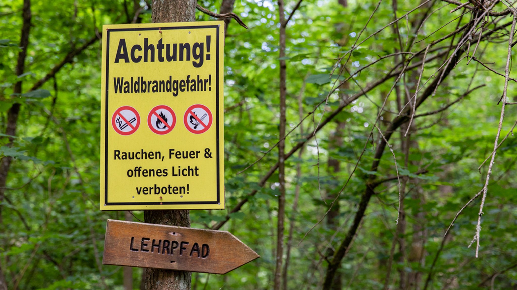 Ein Warnschild, das auf Waldbrandgefahr hinweist.