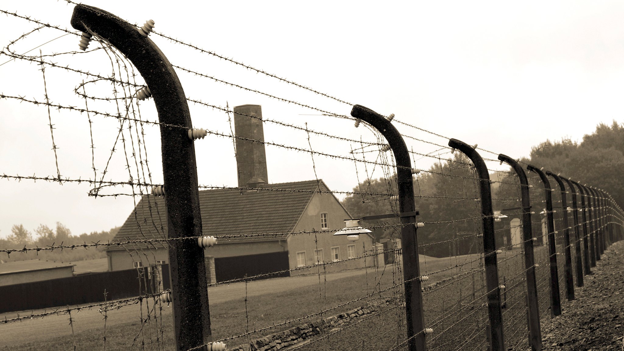 Das Konzentrationslager Buchenwald