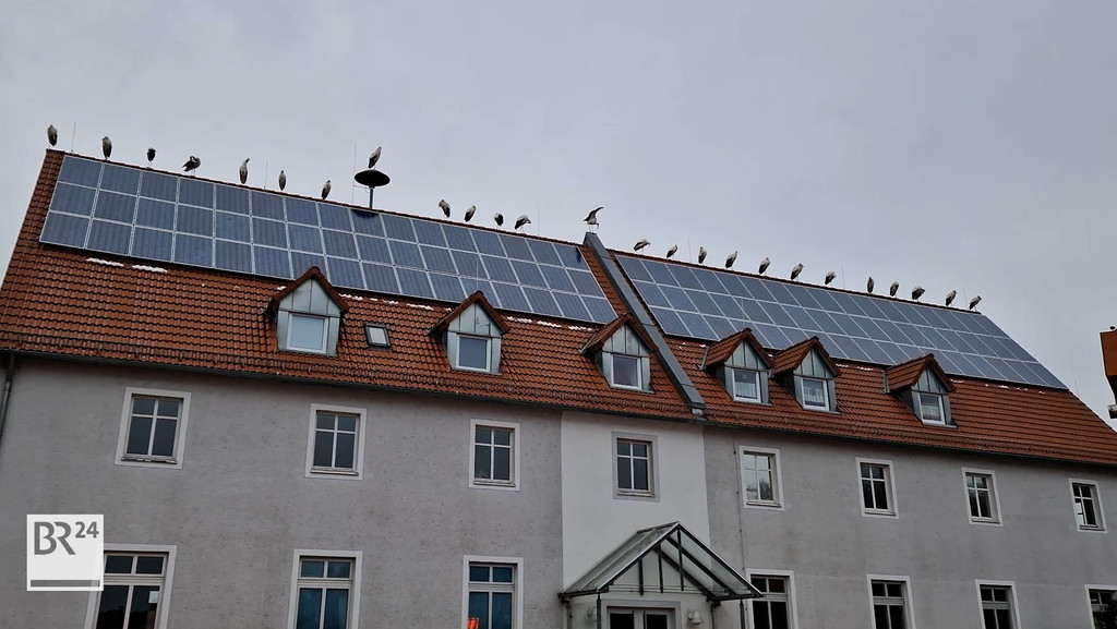 In Bad Windsheim  saßen am Samstag 25 Störche gleichzeitig auf einem Dach. 