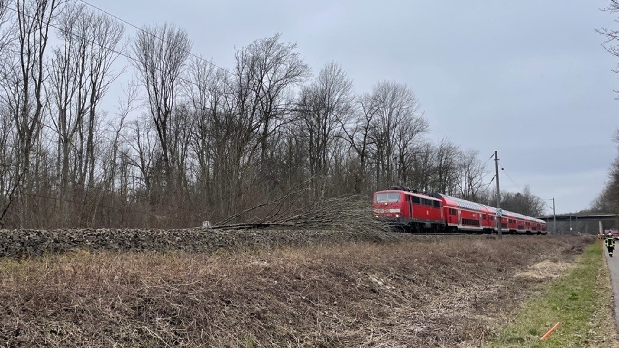 Baum liegt bei Marzling auf den Gleisen, dahinter steht ein Regionalzug.