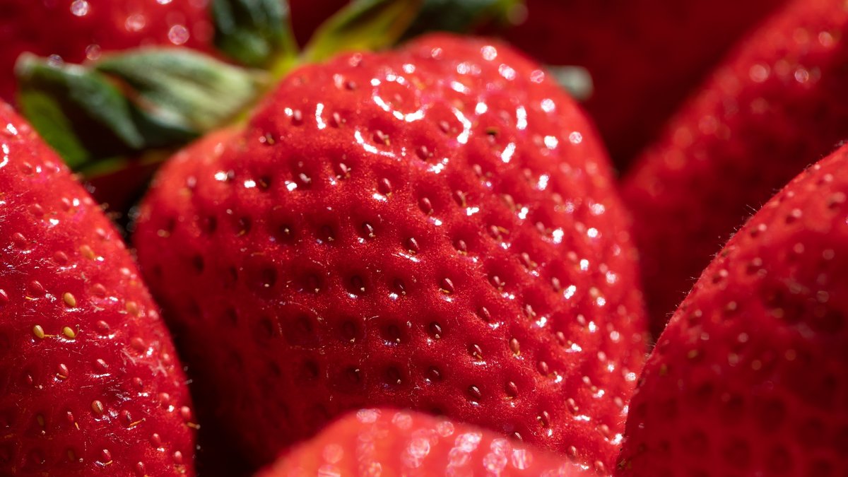 Erdbeeren: Tipps beim Kauf, zum Pflücken, Waschen und Lagern
