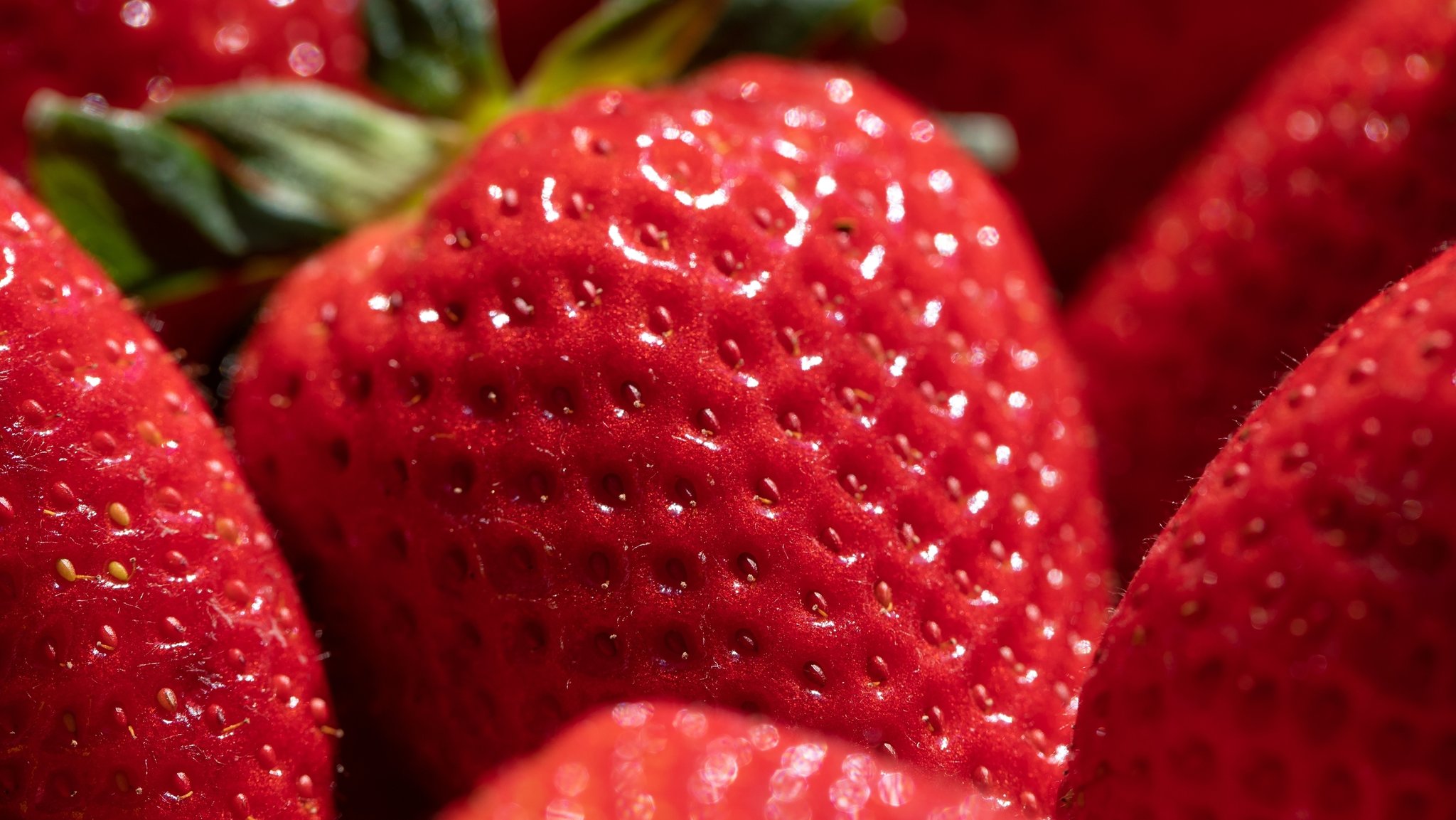 Erdbeeren | Bild: BR/Markus Konvalin Erdbeeren