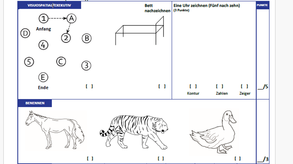 Ausschnitt aus der deutschen Version des MoCA-Tests 