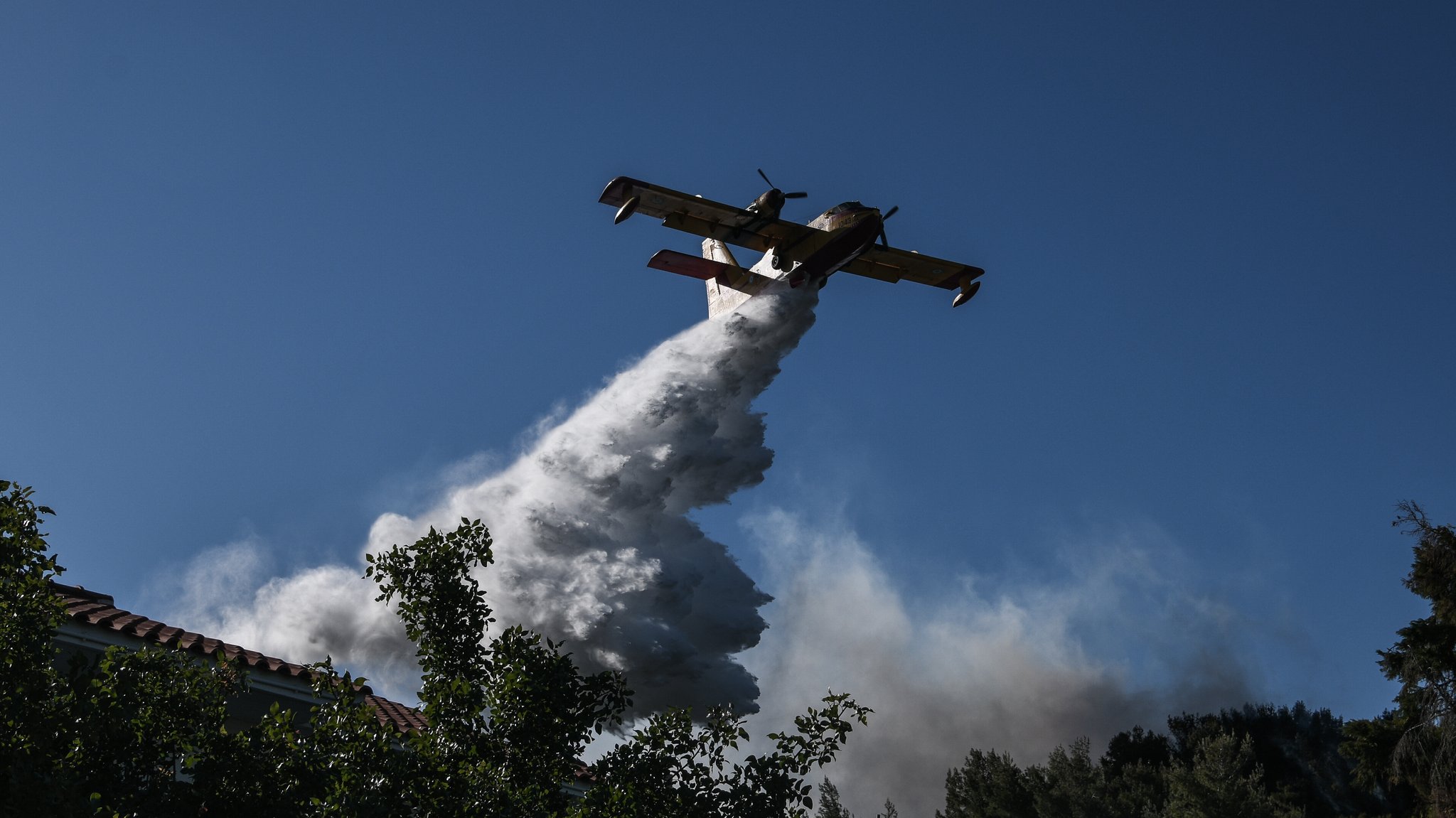 Fliegende Feuerwehr: So werden Waldbrände gelöscht