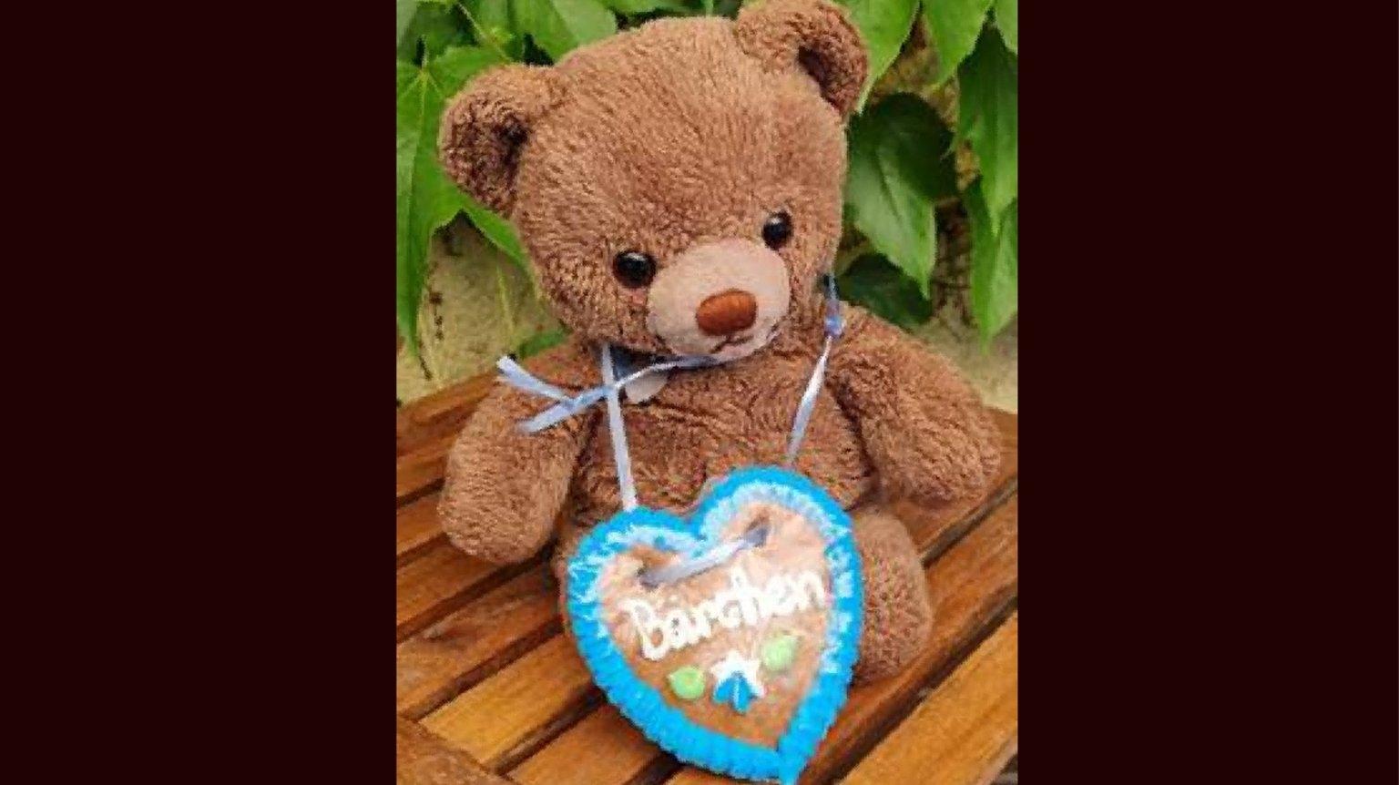 Mit diesem Foto wurde nach dem Teddy gesucht