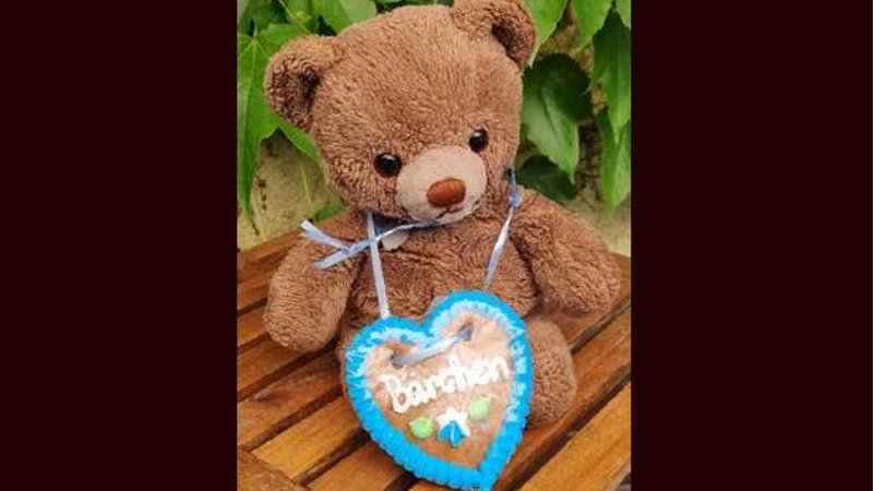 Mit diesem Foto wurde nach dem Teddy gesucht | Bild: privat/Klaus Oberndorfer Mit diesem Foto wurde nach dem Teddy gesucht