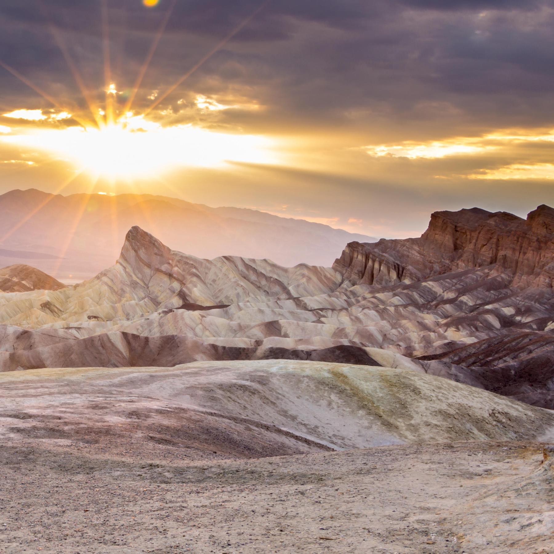 Extrem heiß? Egal! - Diese Rekord-Pflanze überlebt sogar im Death Valley