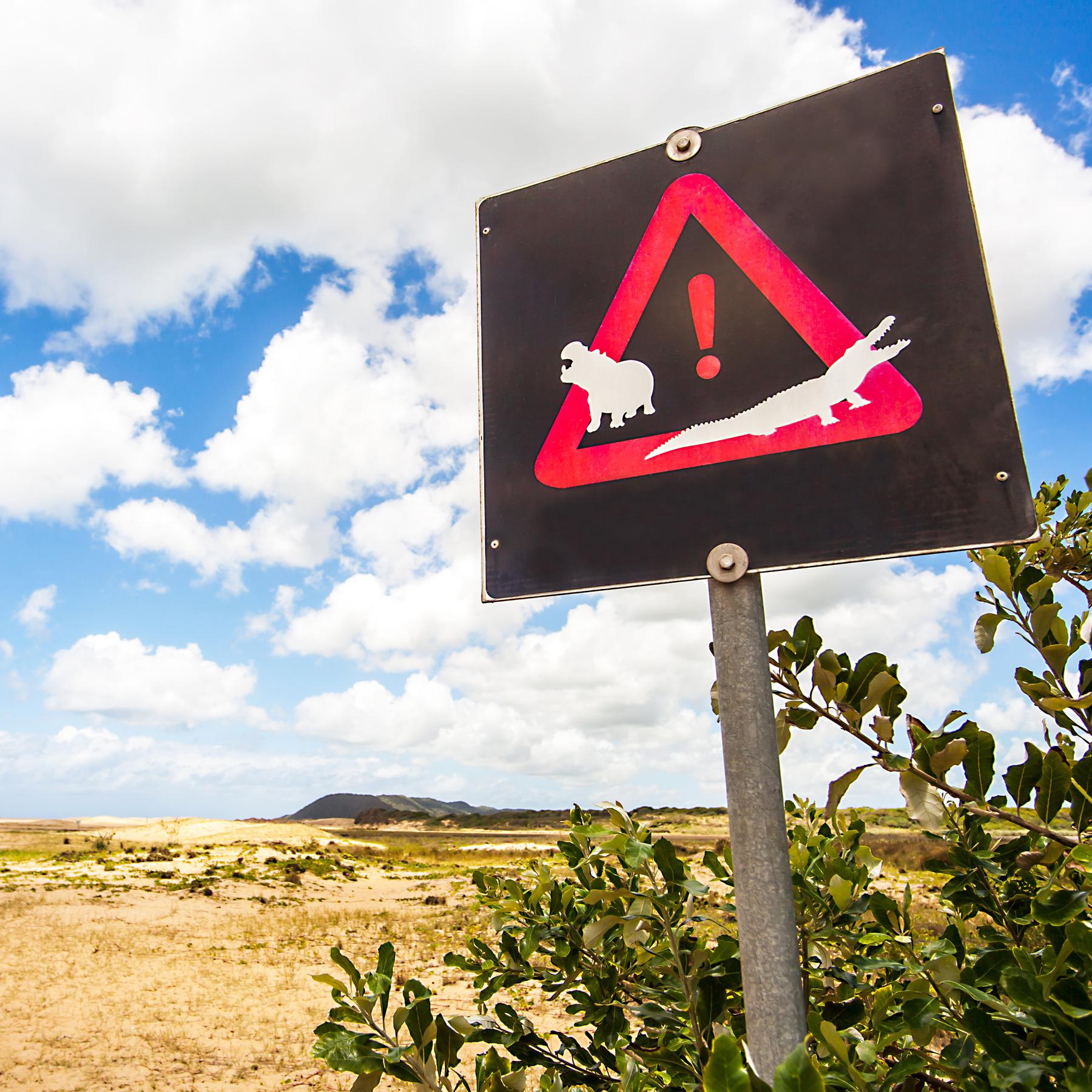 Südafrika: Nelson Mandela und die Gefängnisinsel Robben Island, Hippos im Isimagaliso-Wetland Park, District 6 in Cape Town