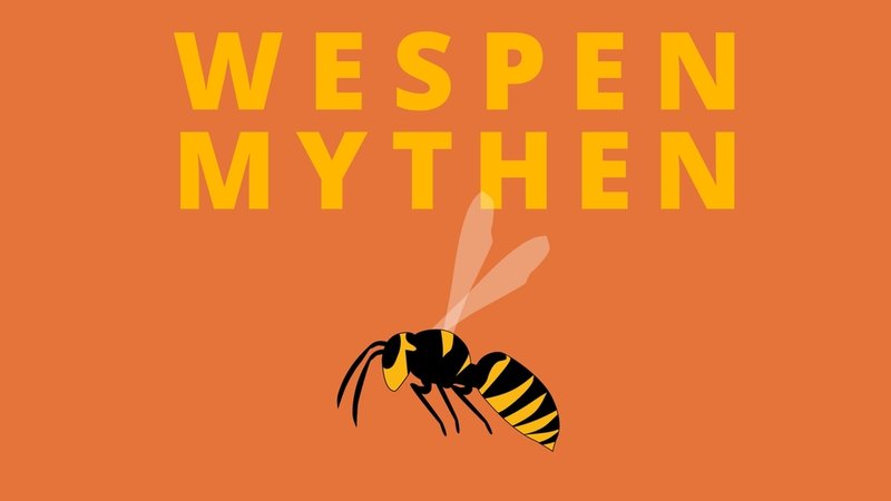 Insektenstich-Allergie: Hilfe bei einem allergischen Schock