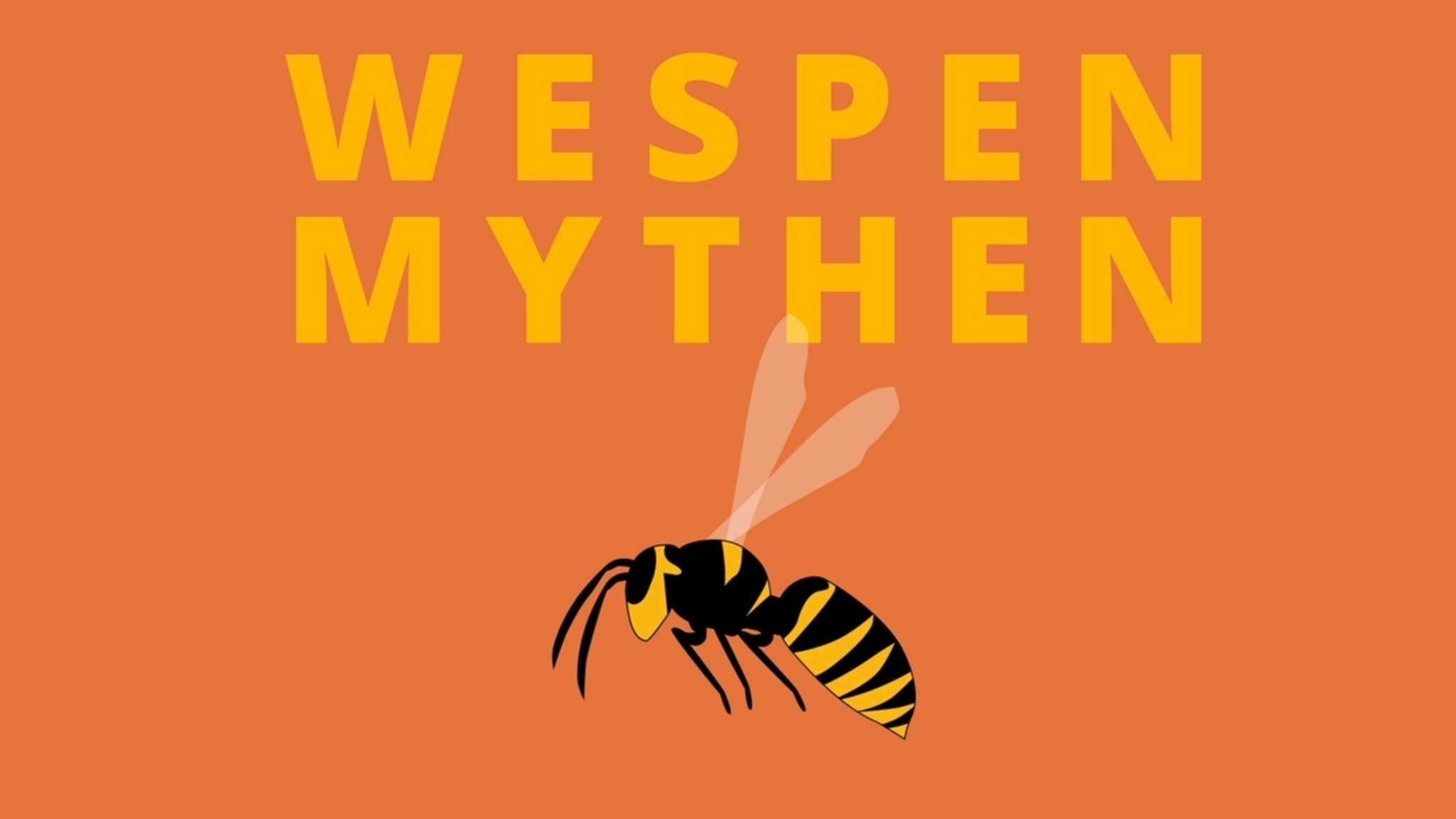 Wespen-Mythen