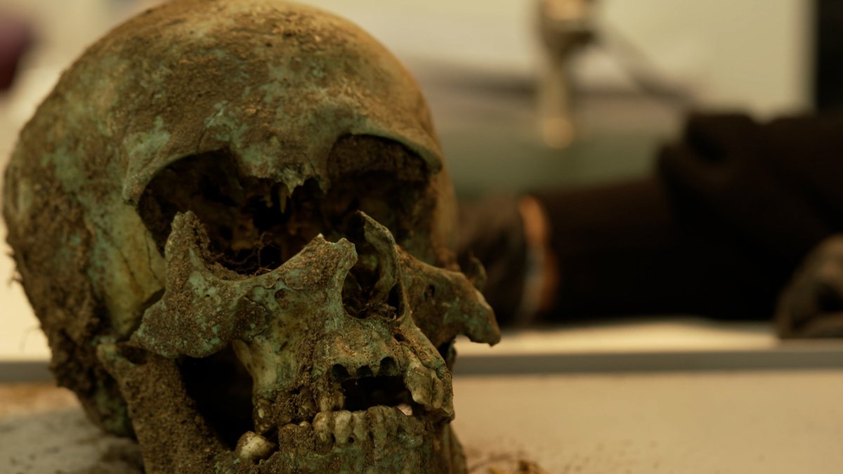 Nach Pestgrab-Fund: 3.000 Skelette in ehemaligem Supermarkt