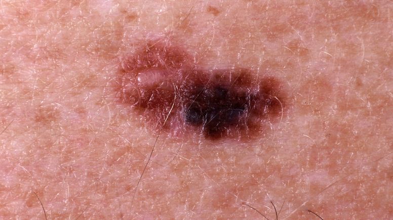 BR Bayerischer Rundfunk Nachrichten von BR24, Highlights aus der BR