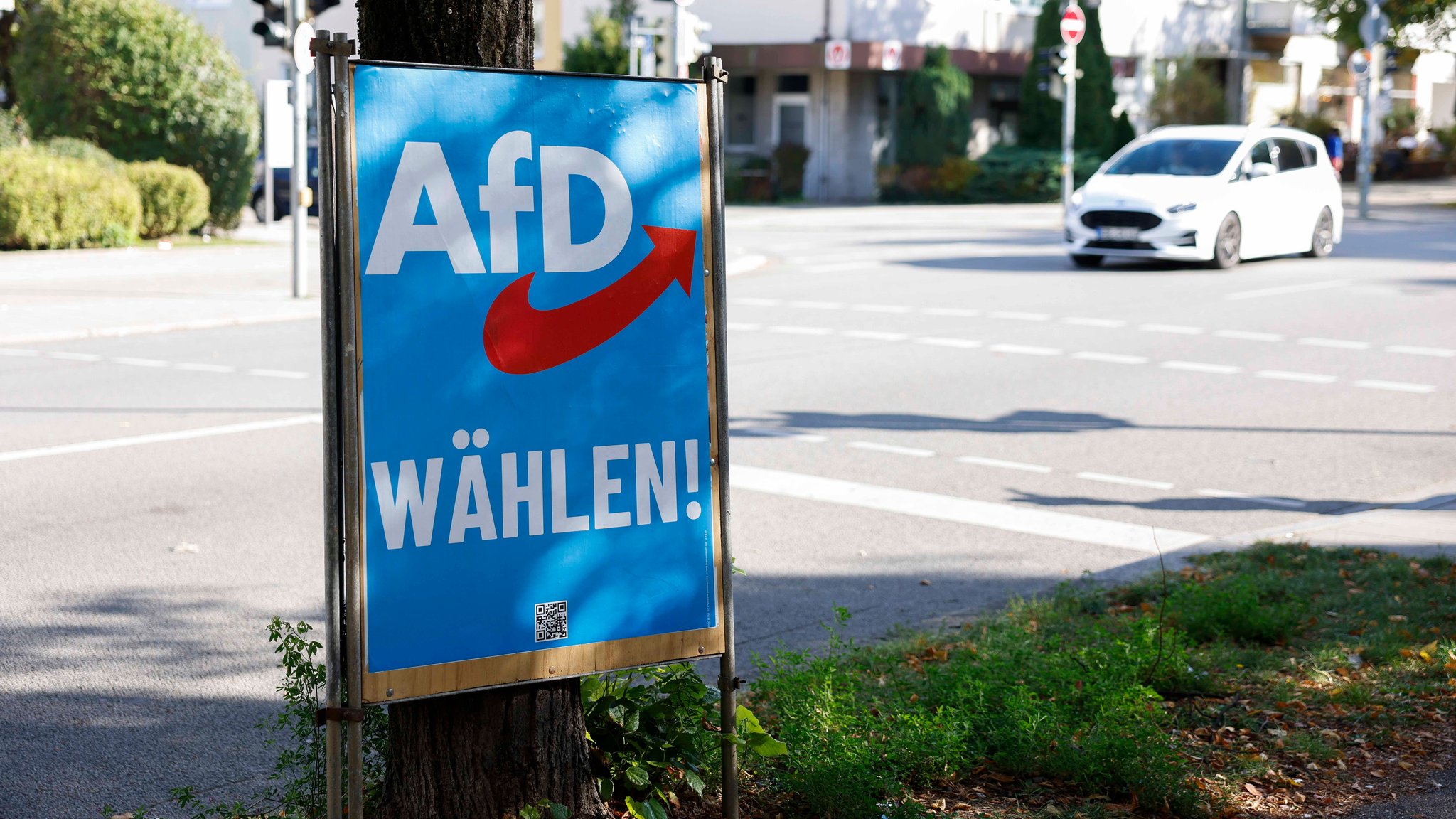 Wer die AfD gewählt hat und warum - Analyse zur Landtagswahl