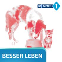 Welches Hundefutter kaufen?  | Bild: Mauritius / mauritius images / Pitopia / Judith Dzierzawa; Bearbeitung: BR