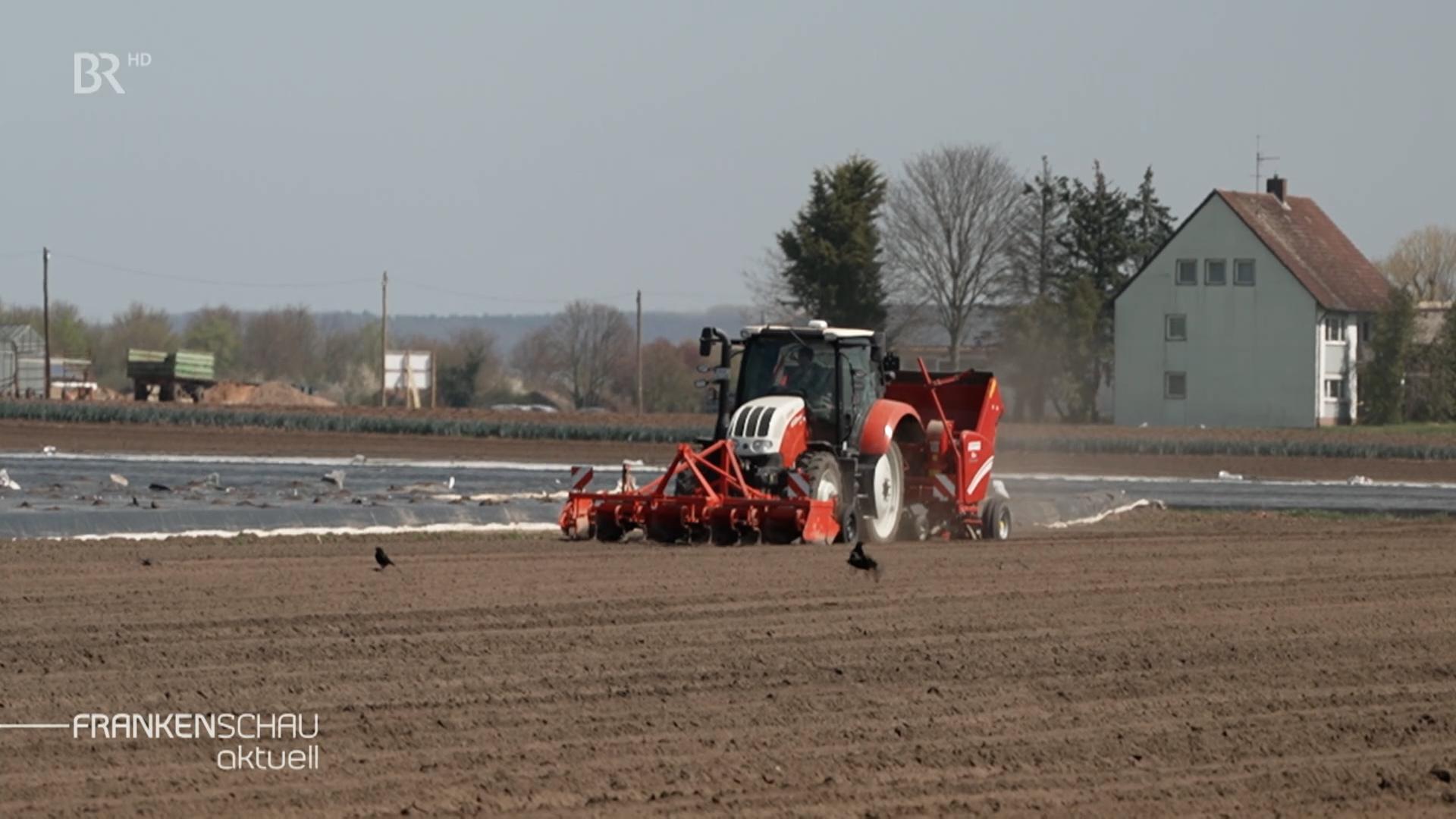 Ein Plug auf einem leerem Acker.