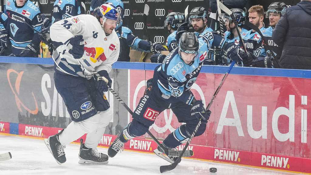 Der EHC Redbull München (rechts) und der ERC Ingolstadt (links) stehen zusammen mit den Straubing Tigers im Playoff-Viertelfinale der DEL.