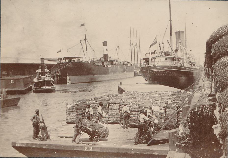 Baumwollverladung im Hafen von Savannah, 1907