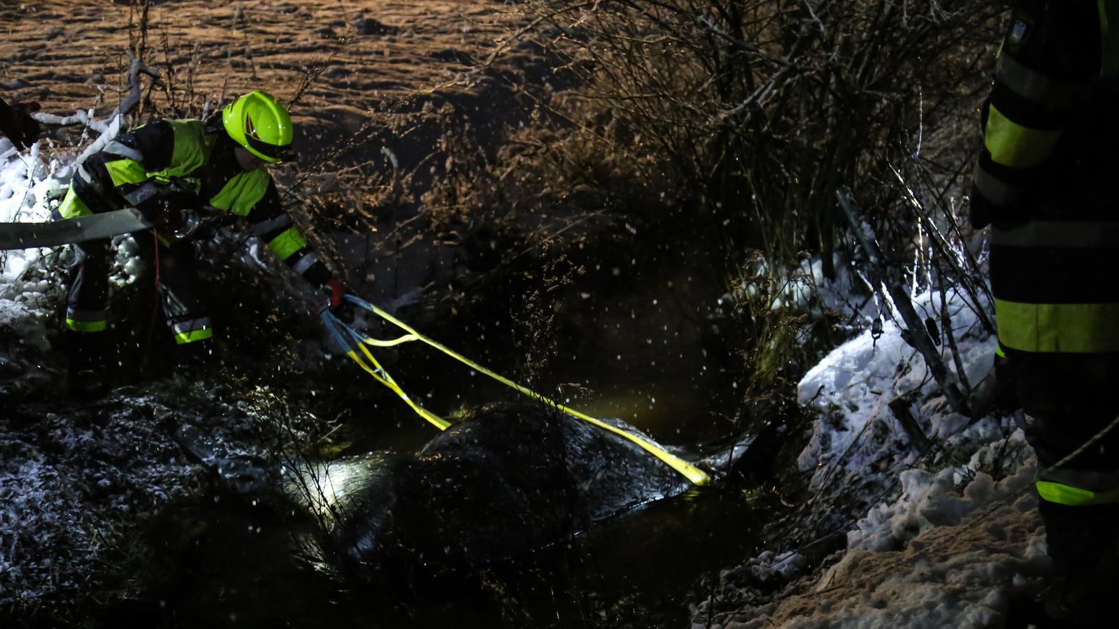 Bildergebnis fÃ¼r Penzberg: Pferd aus eiskaltem Wassergraben gerettet