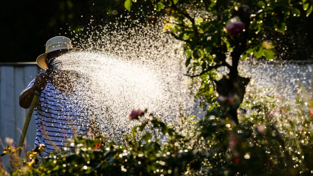 Eine Frau bewässert ihren Garten.