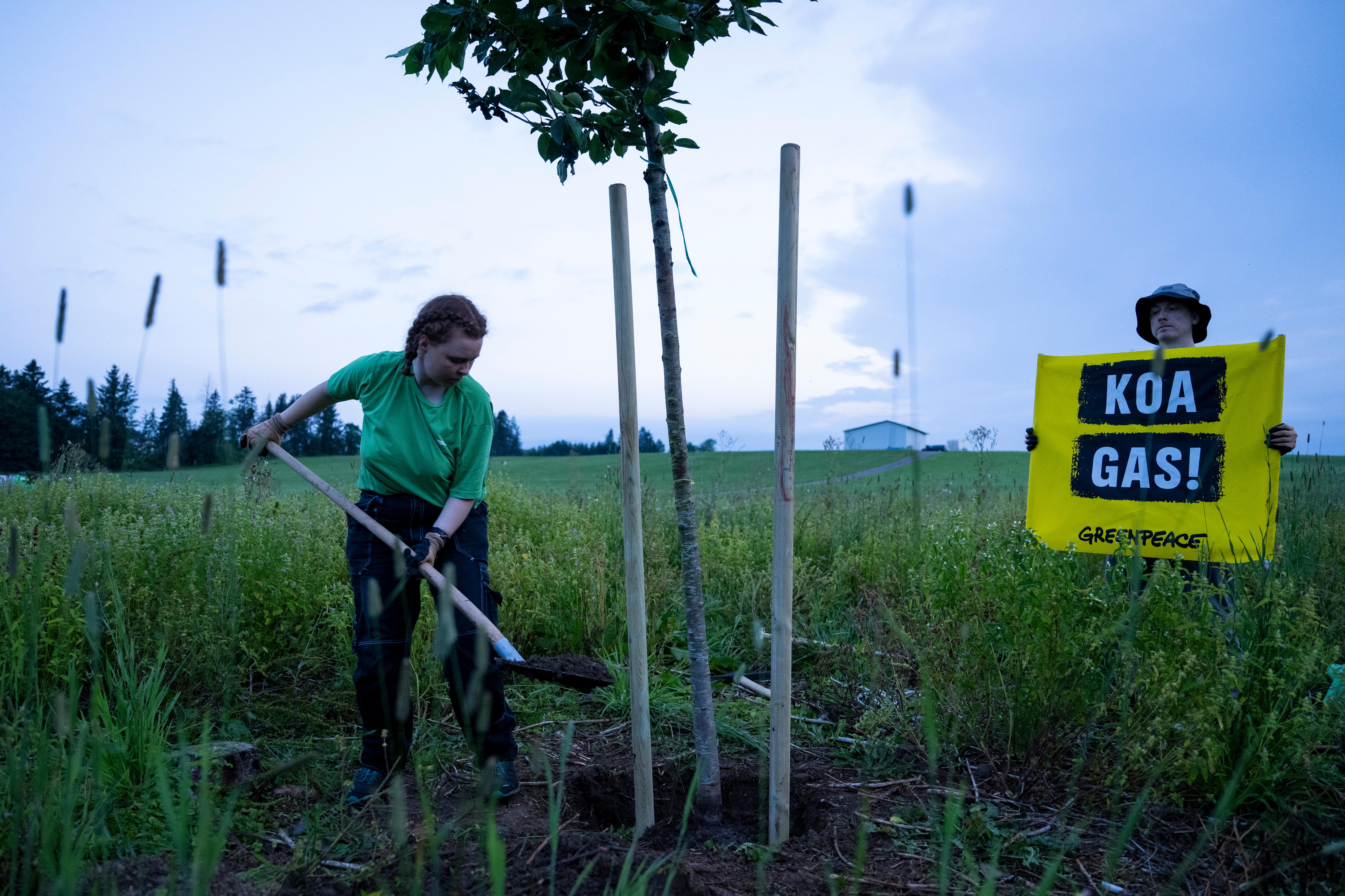 Aktivisten von Greenpeace pflanzen zum Protest gegen Gasbohrungen Bäume auf dem geplanten Bohrfeld unweit des Ammersees.