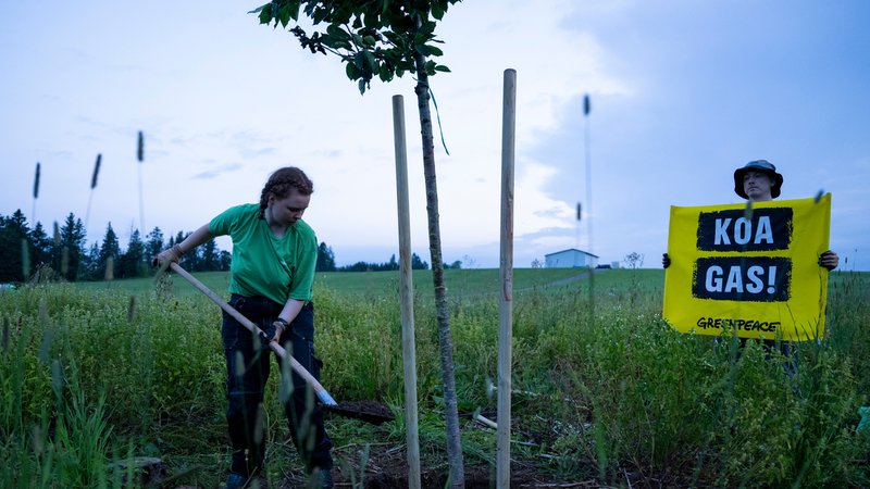Aktivisten von Greenpeace pflanzen zum Protest gegen Gasbohrungen Bäume auf dem geplanten Bohrfeld unweit des Ammersees. | Bild: picture alliance/dpa | Lennart Preiss Aktivisten von Greenpeace pflanzen zum Protest gegen Gasbohrungen Bäume auf dem geplanten Bohrfeld unweit des Ammersees.