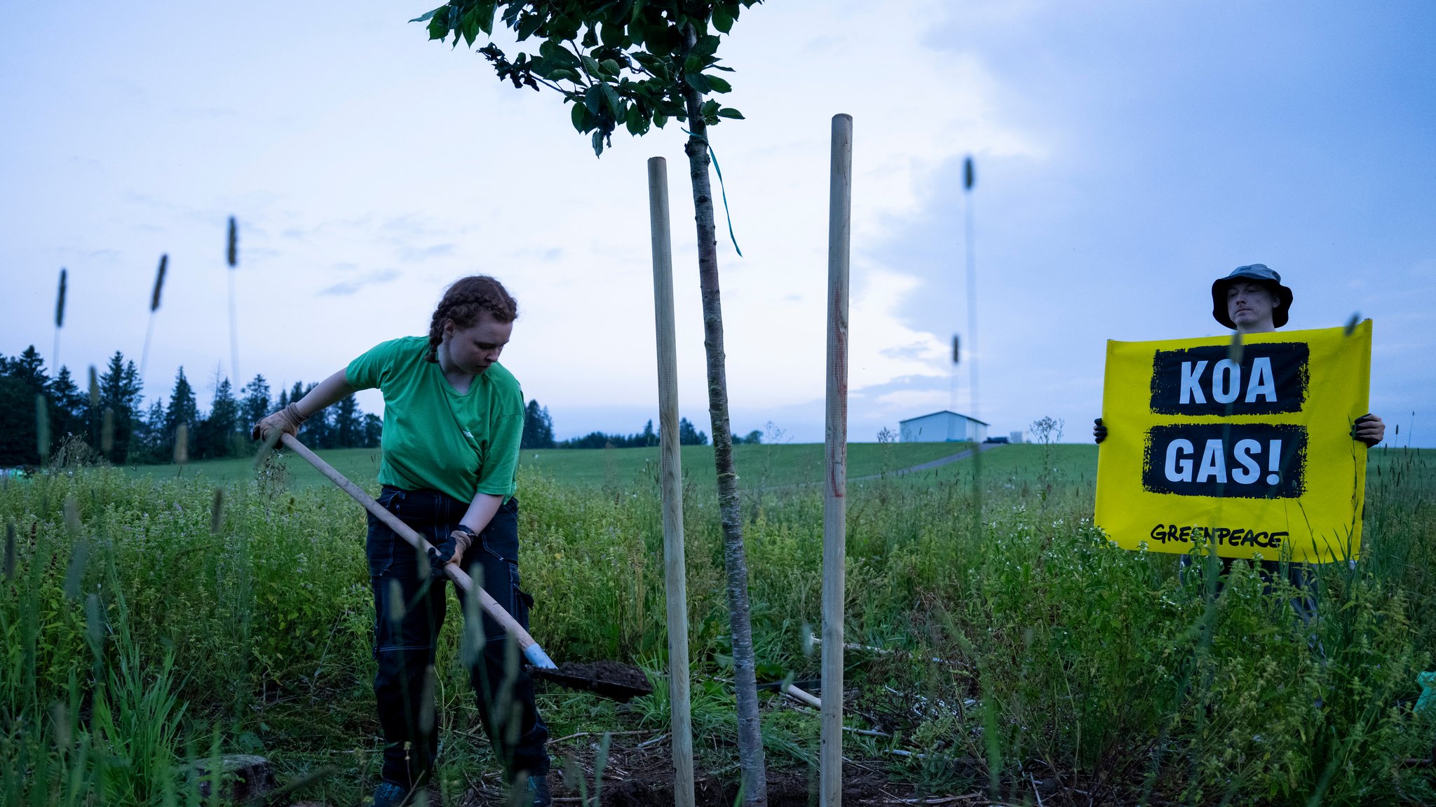 Aktivisten von Greenpeace pflanzen zum Protest gegen Gasbohrungen Bäume auf dem geplanten Bohrfeld unweit des Ammersees.