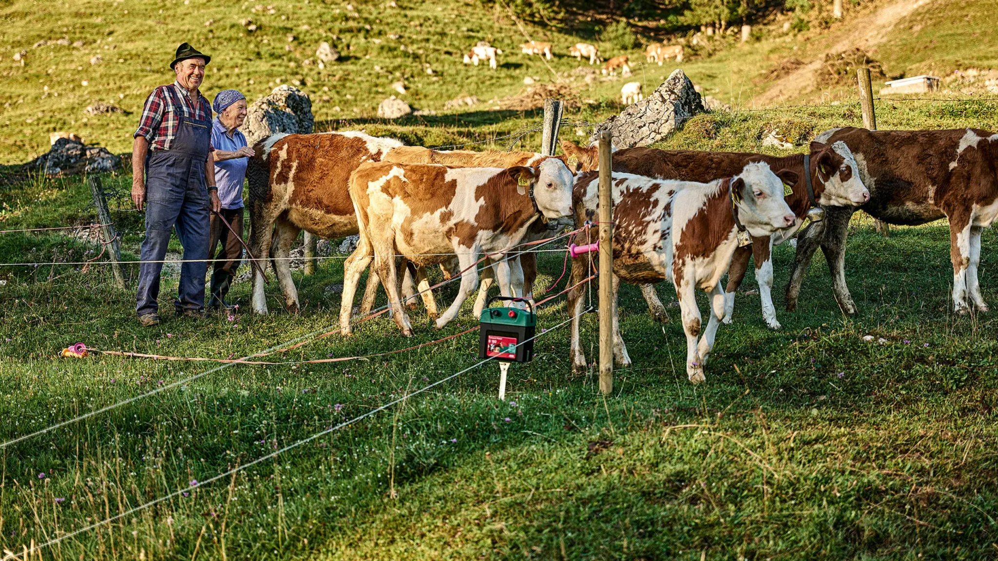 Senner und Sennerin mit Kälbern auf der Alm ("Morgenritual" aus der Ausstellung Bergbauern erleben)