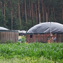 Energie vom Acker - die Zukunft von Biogas in Bayern | Bild: picture-alliance/dpa