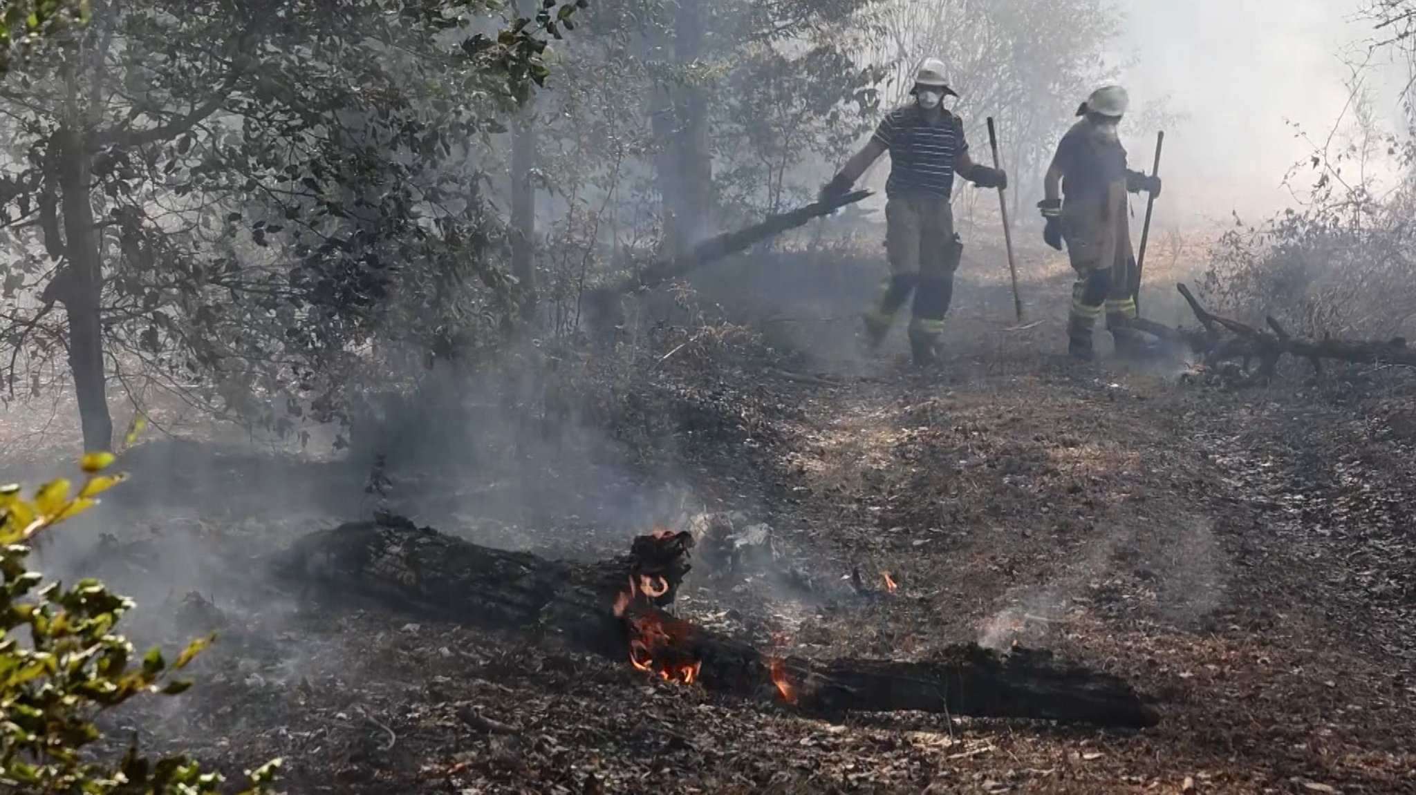 Zwei Feuerwehrmänner stehen in einem verbrannten Waldgebiet bei Alzenau, im Vordergrund schlagen kleine Flammen aus einem verkohlten Baumstamm, Sonnenlicht bricht sich in Rauchschwaden. Nahe der bayerisch-hessischen Grenze hält ein Waldbrand die Feuerwehren in Atem. Auch in der Oberpfalz steht eine Waldfläche in Flammen.