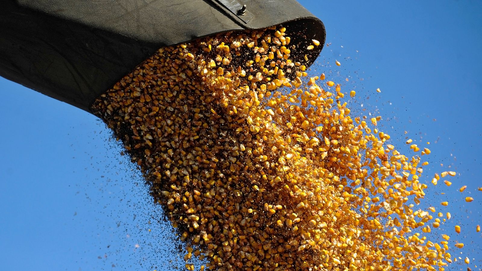 Naciones Unidas pide la prórroga del acuerdo de cereales